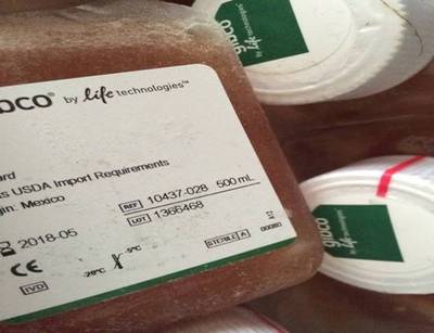 gibco墨西哥胎牛血清 10437-028 500ml 现货